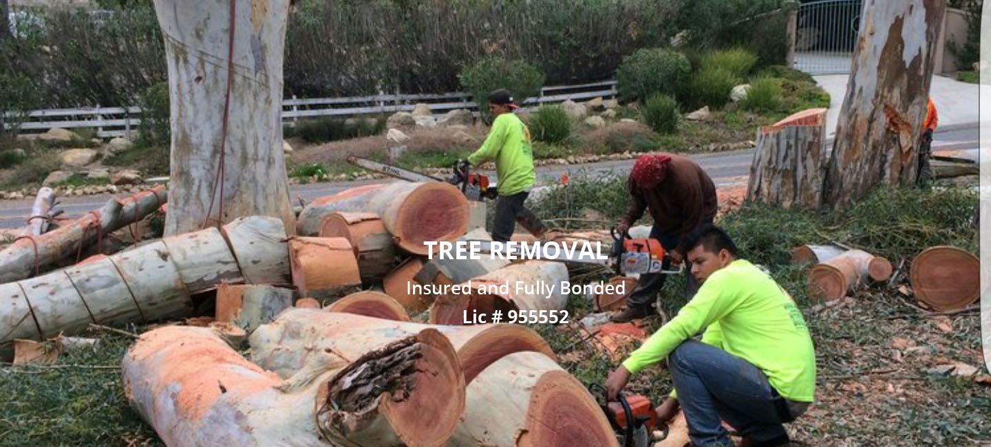 Tree Trimming Services