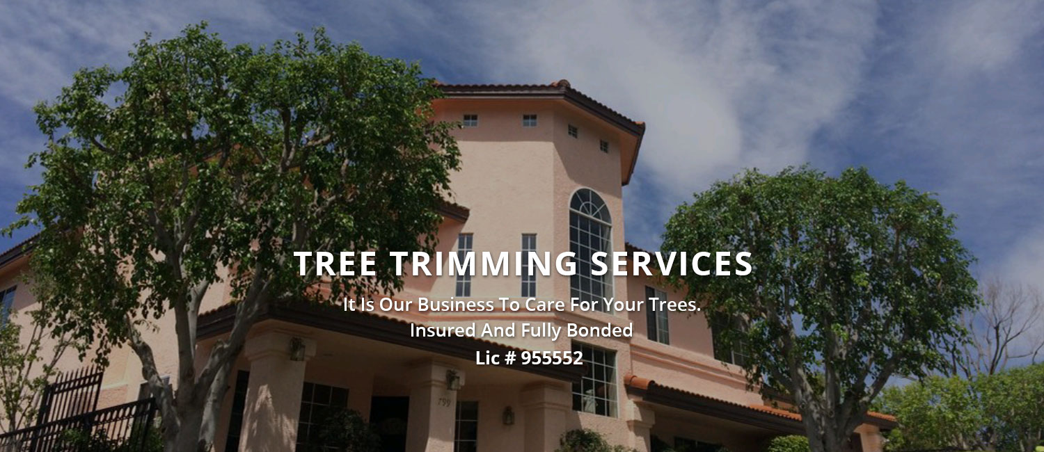 Tree Trimming Services